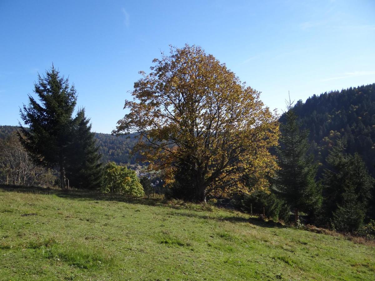 Apartments Amalia - mit WLAN und Sky in bester Lage Todtmoos Exterior foto