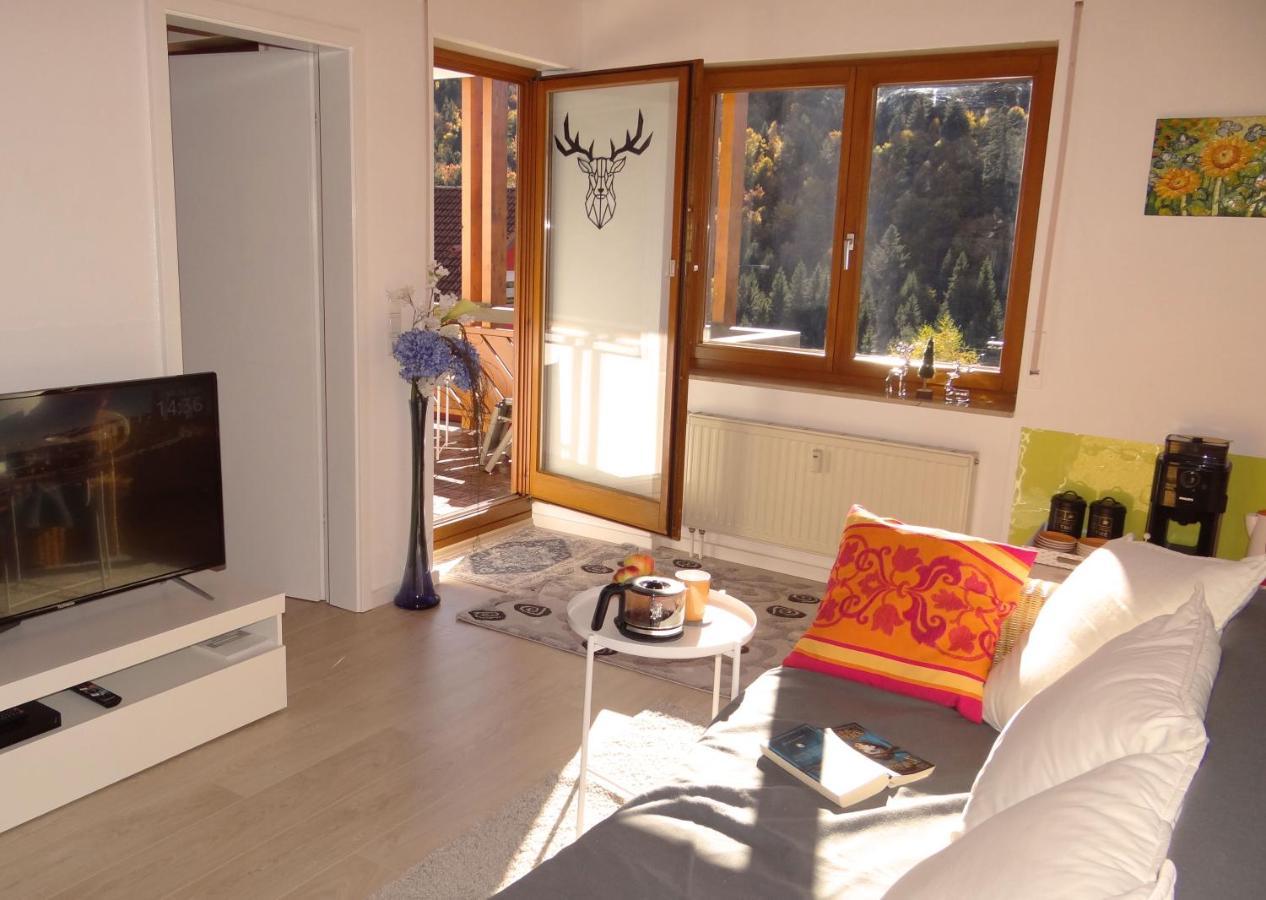 Apartments Amalia - mit WLAN und Sky in bester Lage Todtmoos Zimmer foto