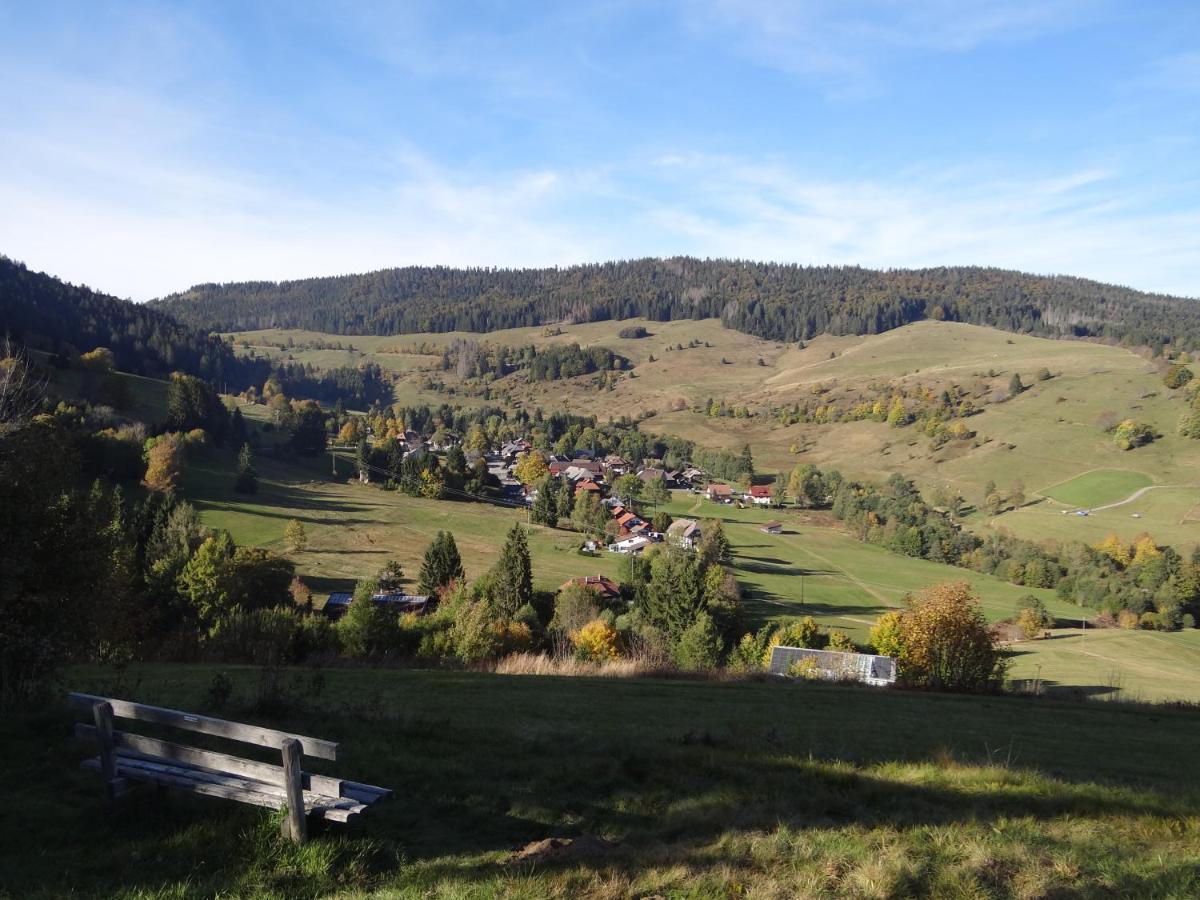 Apartments Amalia - mit WLAN und Sky in bester Lage Todtmoos Exterior foto
