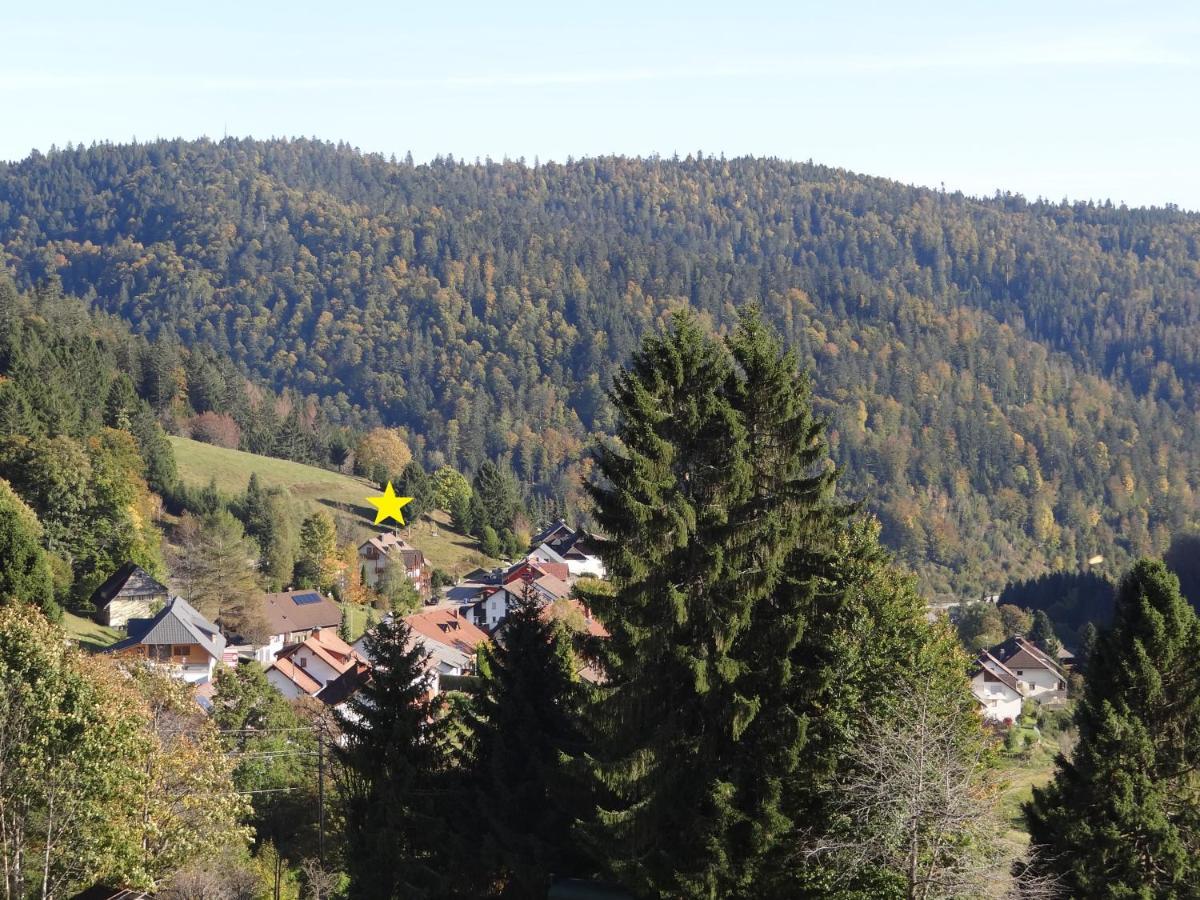 Apartments Amalia - mit WLAN und Sky in bester Lage Todtmoos Exterior foto