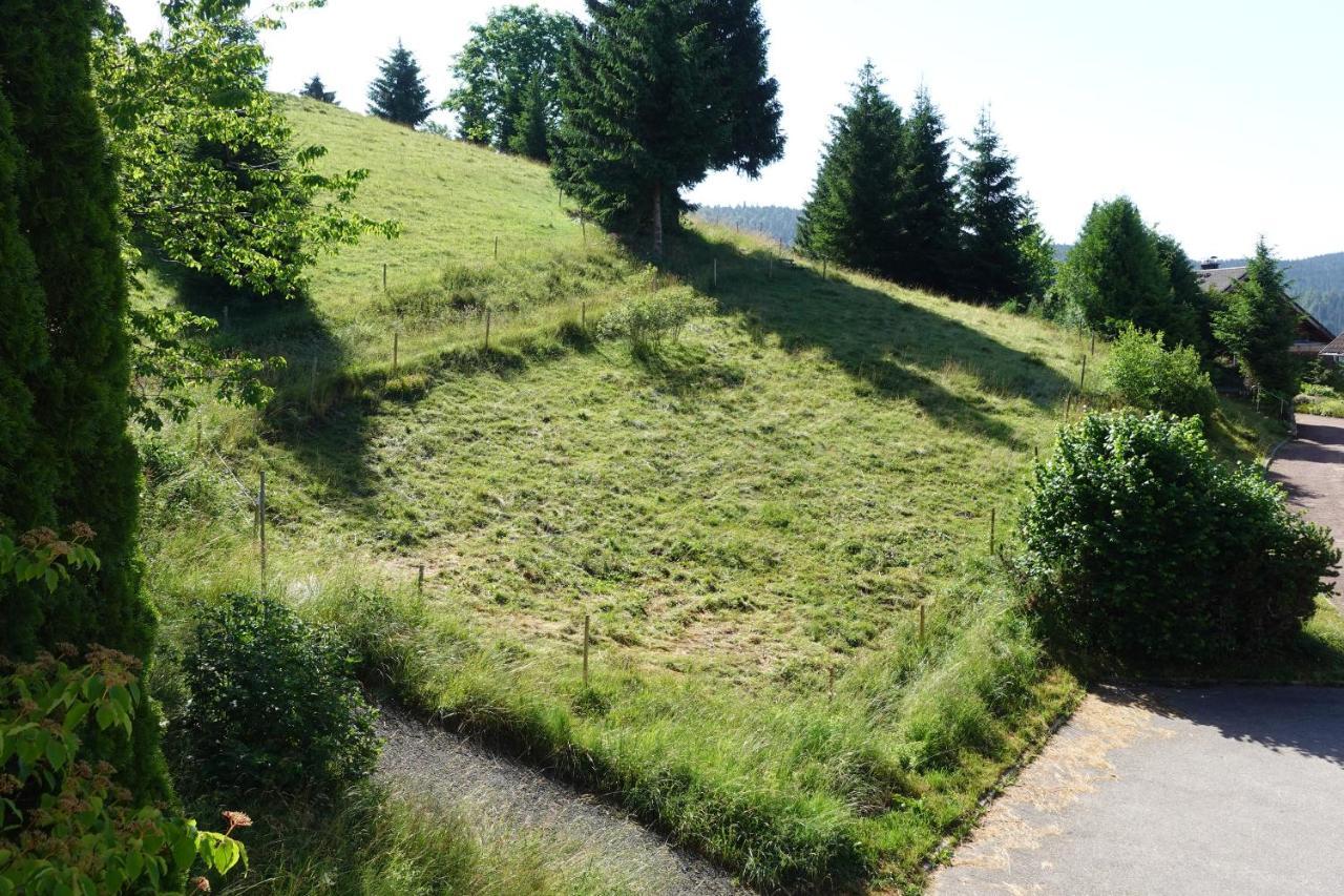 Apartments Amalia - mit WLAN und Sky in bester Lage Todtmoos Exterior foto